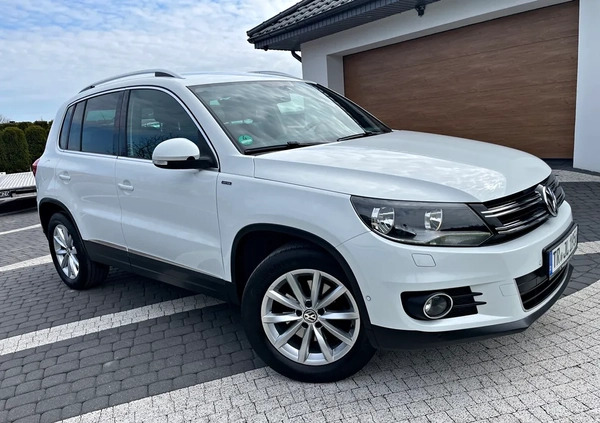 Volkswagen Tiguan cena 45900 przebieg: 192000, rok produkcji 2015 z Przecław małe 436